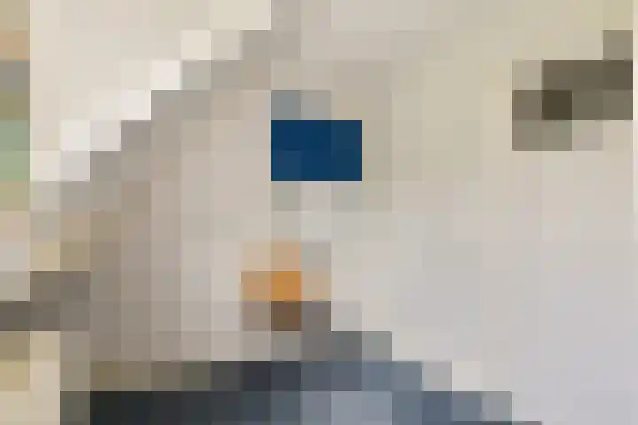 Commandeurshof 1 Maasland thumbnail 41