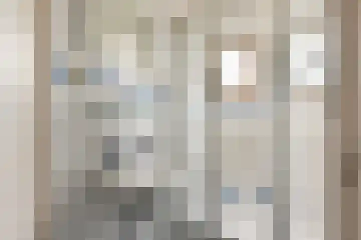 Commandeurshof 1 Maasland thumbnail 42