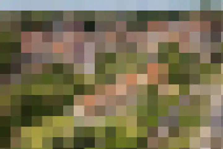 Commandeurshof 1 Maasland thumbnail 46