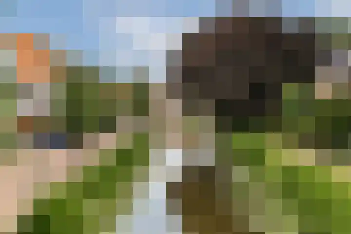 Commandeurshof 1 Maasland thumbnail 47