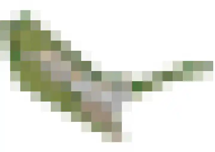Commandeurshof 1 Maasland thumbnail 49