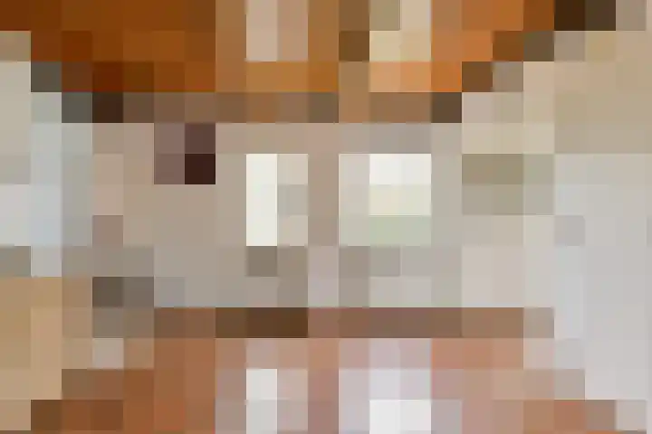 Commandeurshof 1 Maasland thumbnail 5
