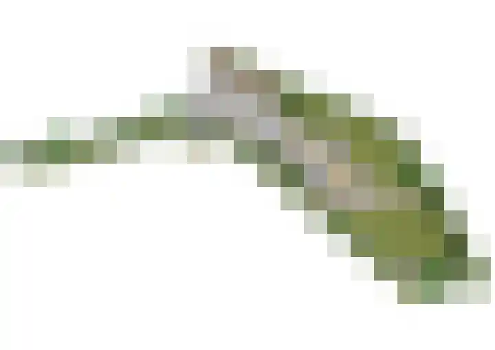 Commandeurshof 1 Maasland thumbnail 50