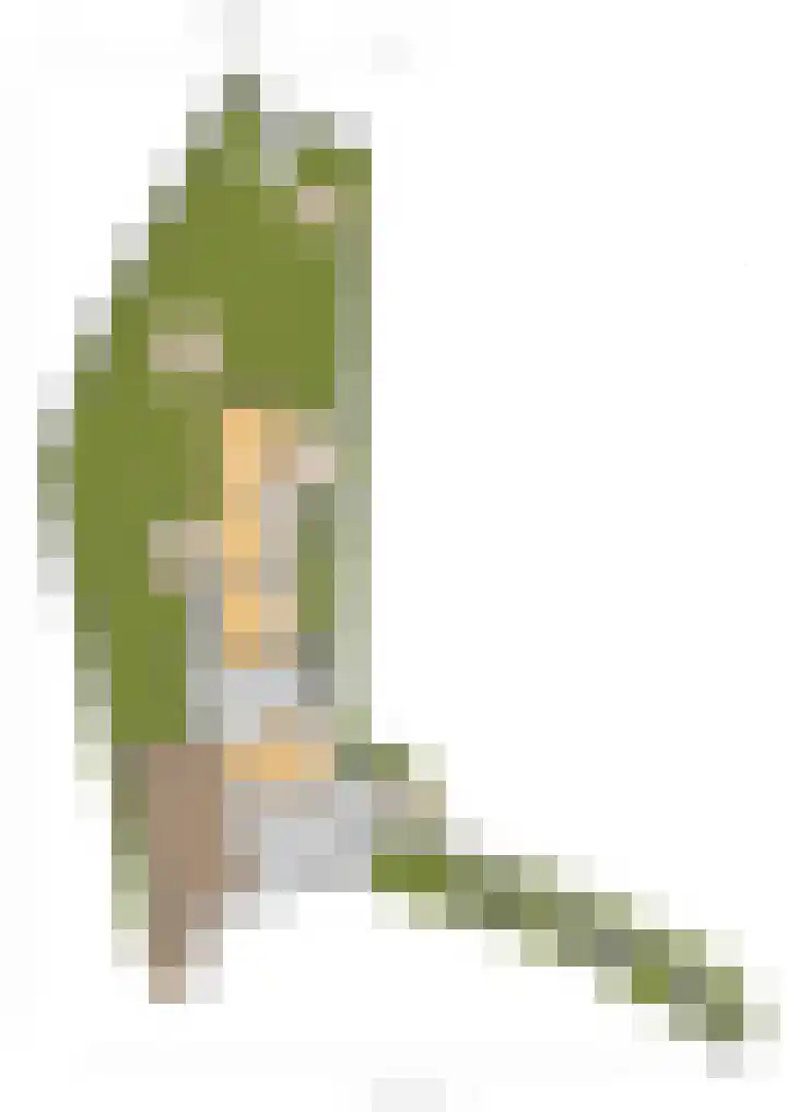 Commandeurshof 1 Maasland thumbnail 51