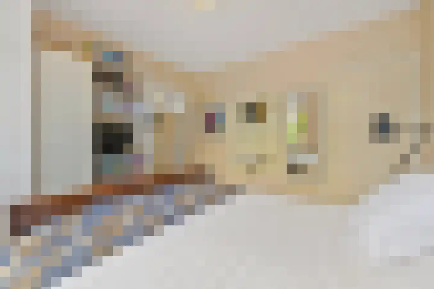 Commandeurskade 11 Maasland thumbnail 21