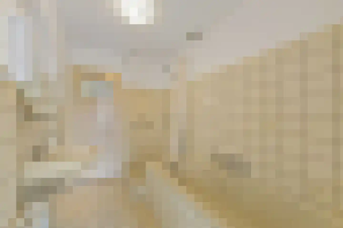 Commandeurskade 11 Maasland thumbnail 22
