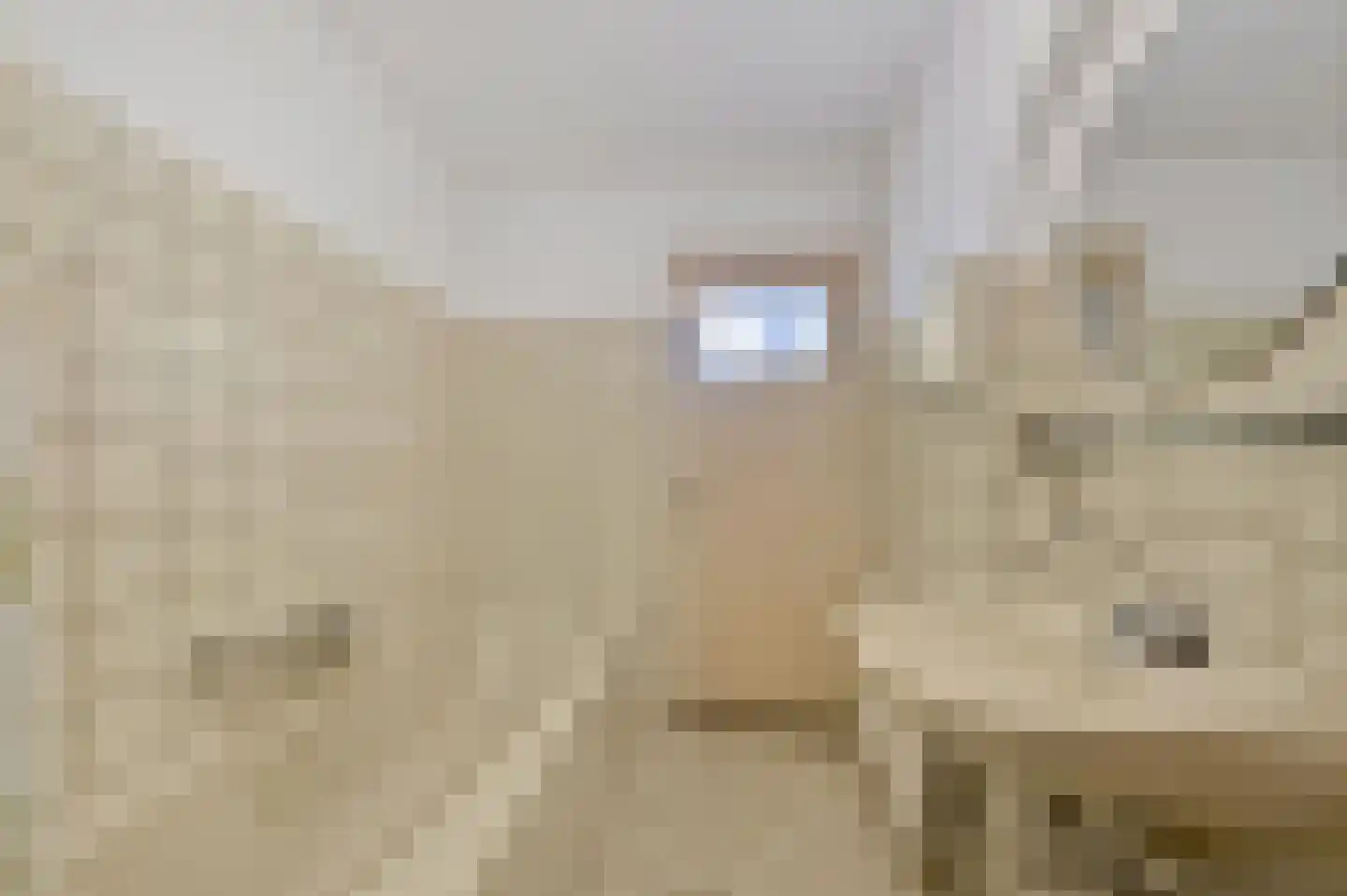 Commandeurskade 11 Maasland thumbnail 23