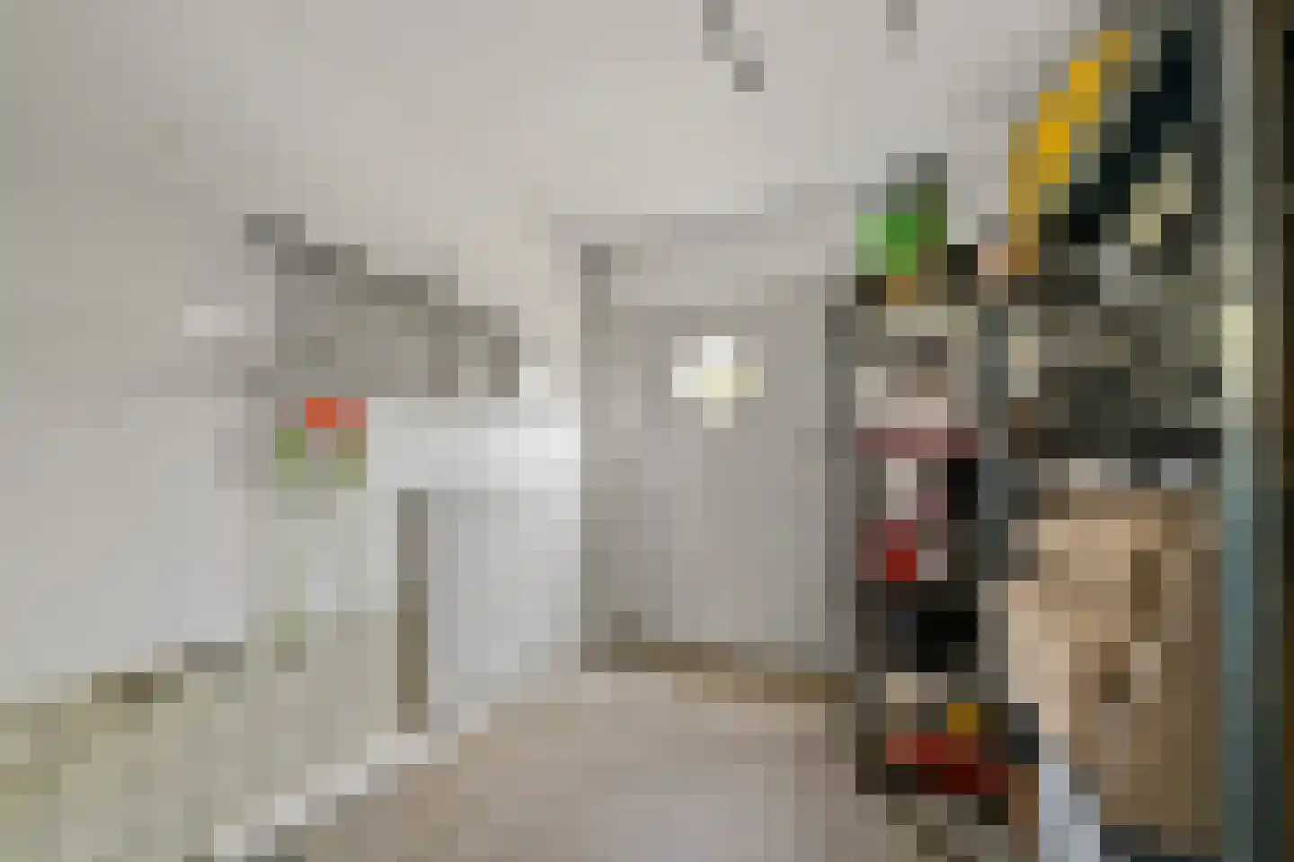 Commandeurskade 11 Maasland thumbnail 26