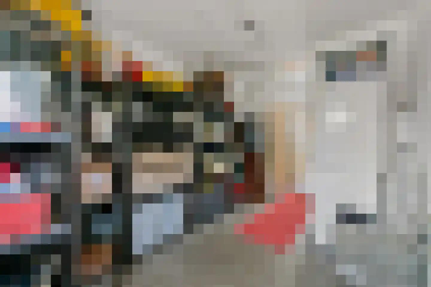 Commandeurskade 11 Maasland thumbnail 27