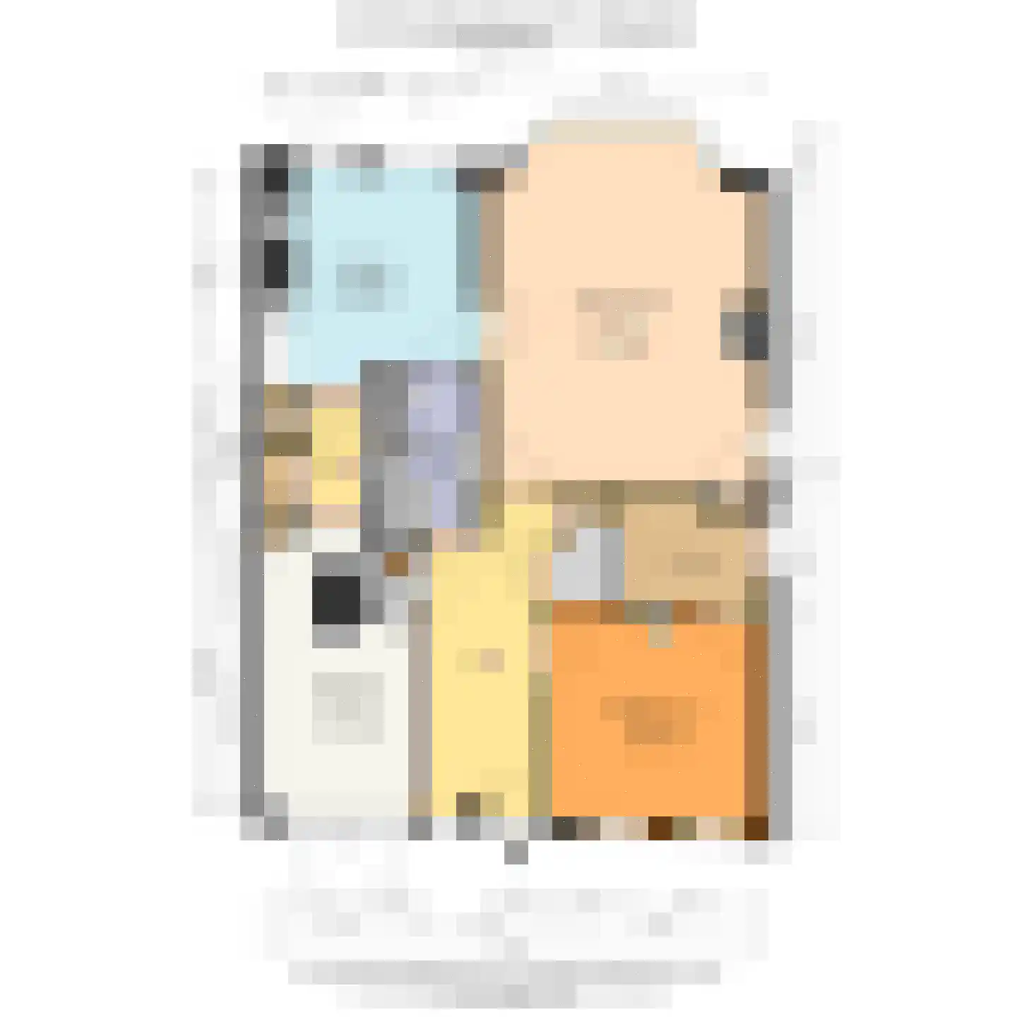 Commandeurskade 11 Maasland thumbnail 38