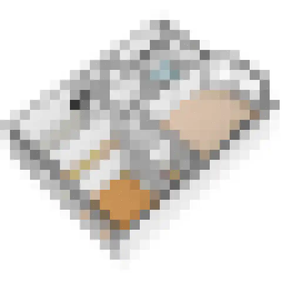 Commandeurskade 11 Maasland thumbnail 39