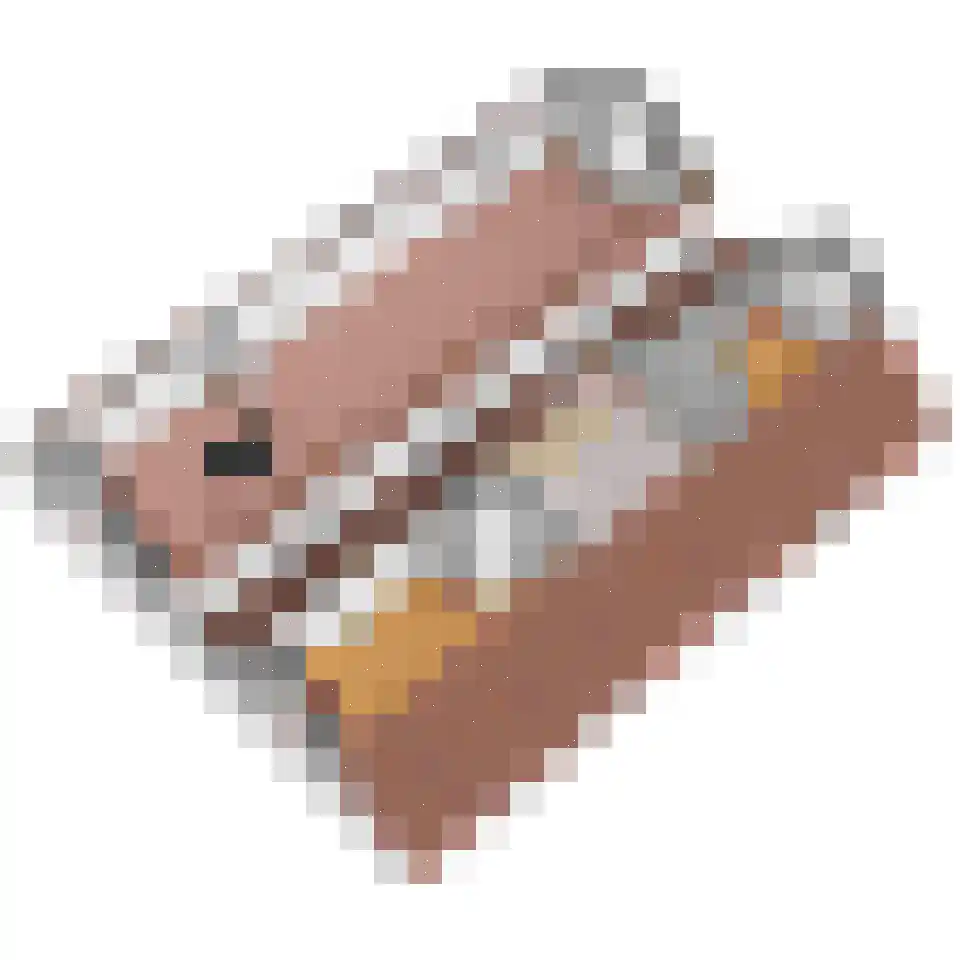 Commandeurskade 11 Maasland thumbnail 41