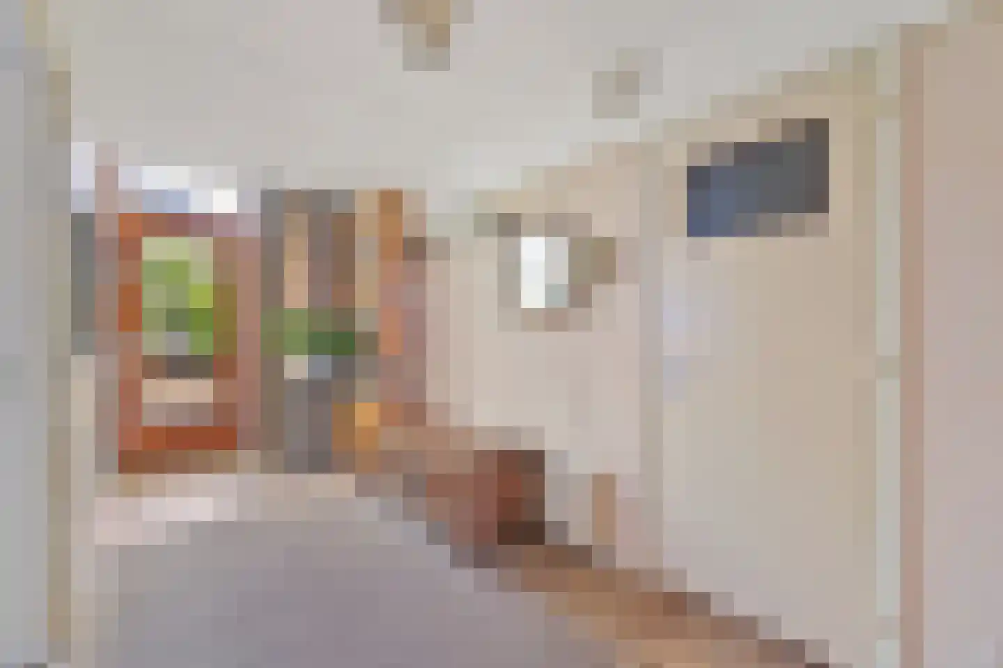 Commandeurskade 11 Maasland thumbnail 5