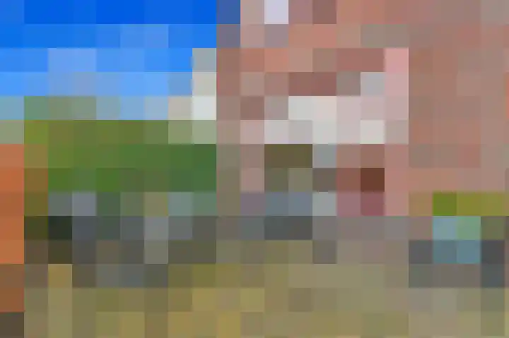 Commandeurskade 9 Maasland thumbnail 19