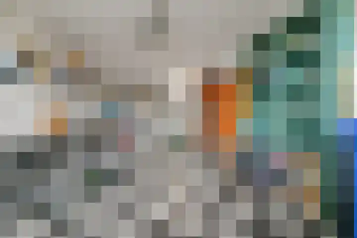 Commandeurskade 9 Maasland thumbnail 26