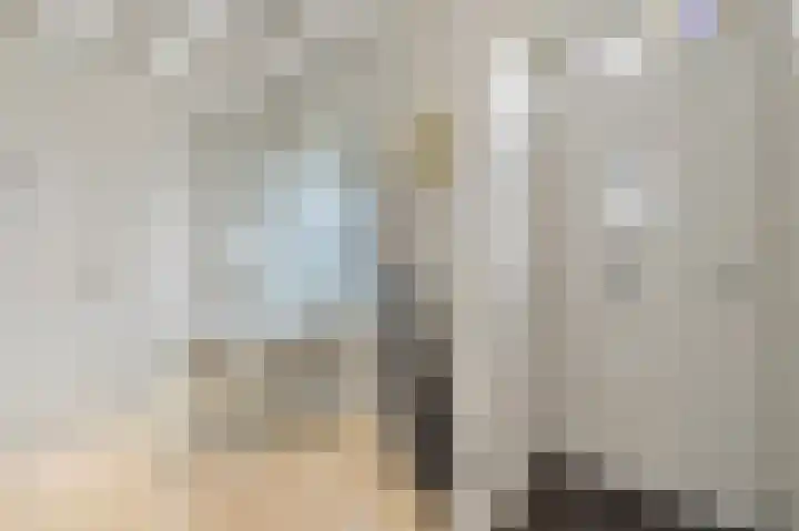 Commandeurskade 9 Maasland thumbnail 29
