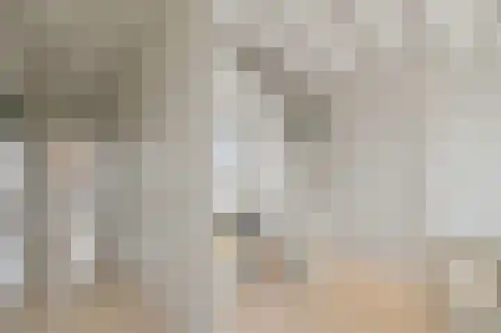 Commandeurskade 9 Maasland thumbnail 30