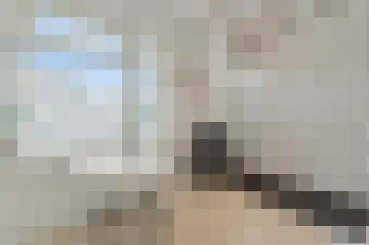 Commandeurskade 9 Maasland thumbnail 31