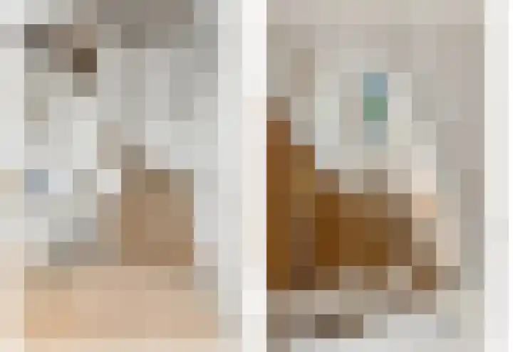 Commandeurskade 9 Maasland thumbnail 32