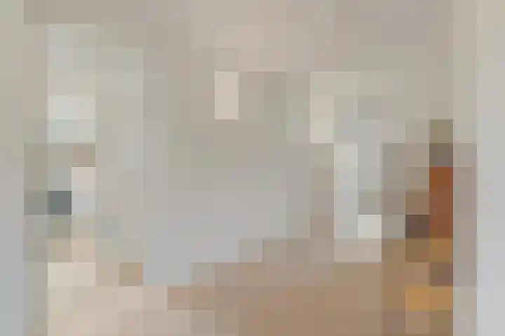 Commandeurskade 9 Maasland thumbnail 33