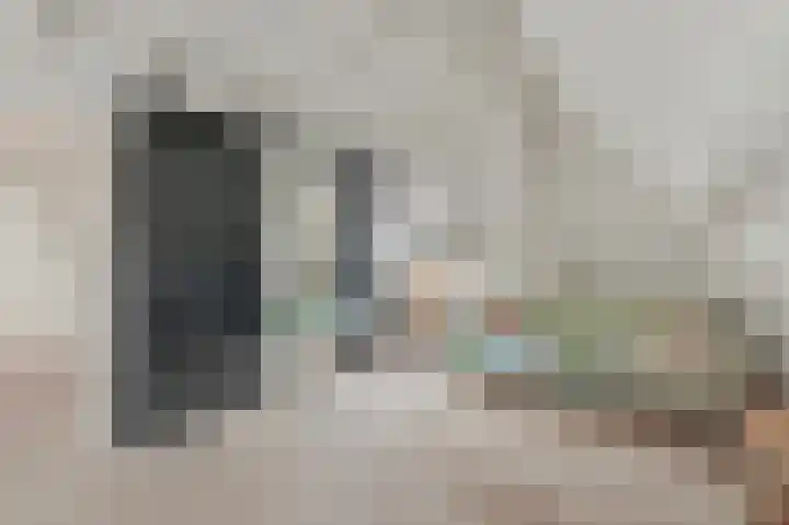 Commandeurskade 9 Maasland thumbnail 41