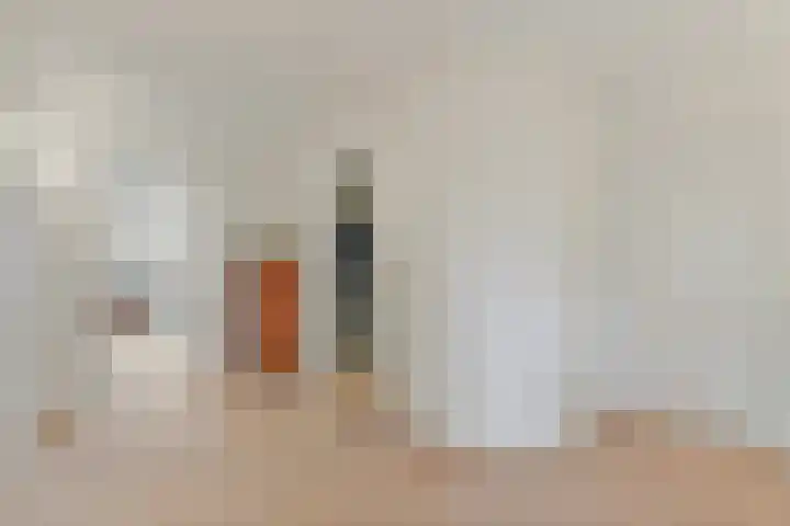 Commandeurskade 9 Maasland thumbnail 42