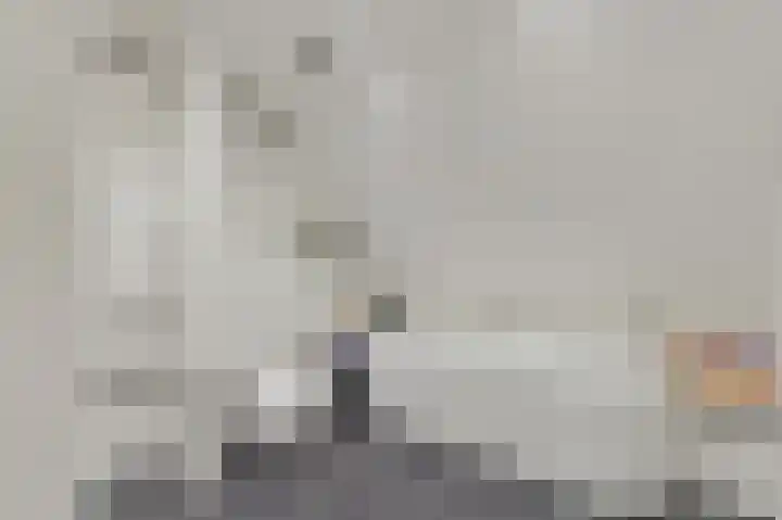 Commandeurskade 9 Maasland thumbnail 43