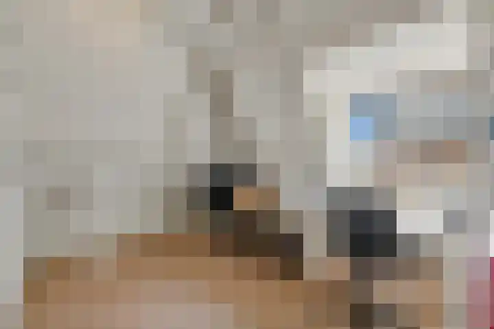 Commandeurskade 9 Maasland thumbnail 49