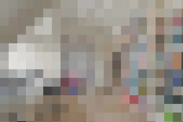 Commandeurskade 9 Maasland thumbnail 50