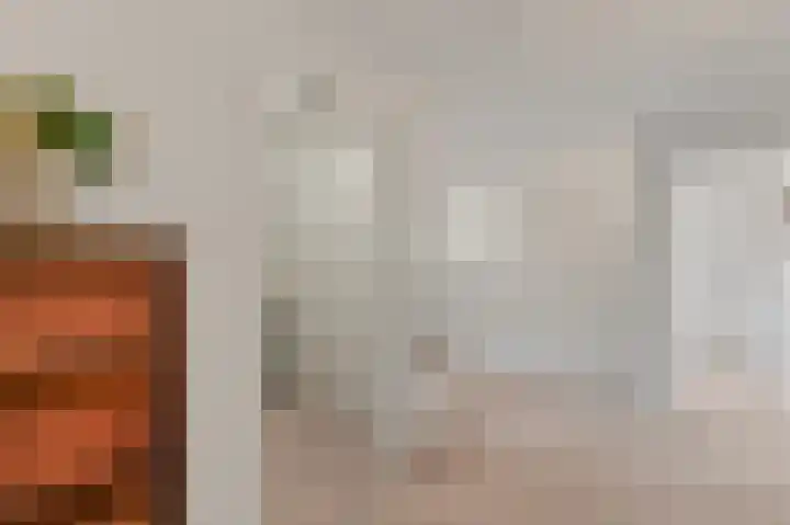 Commandeurskade 9 Maasland thumbnail 51