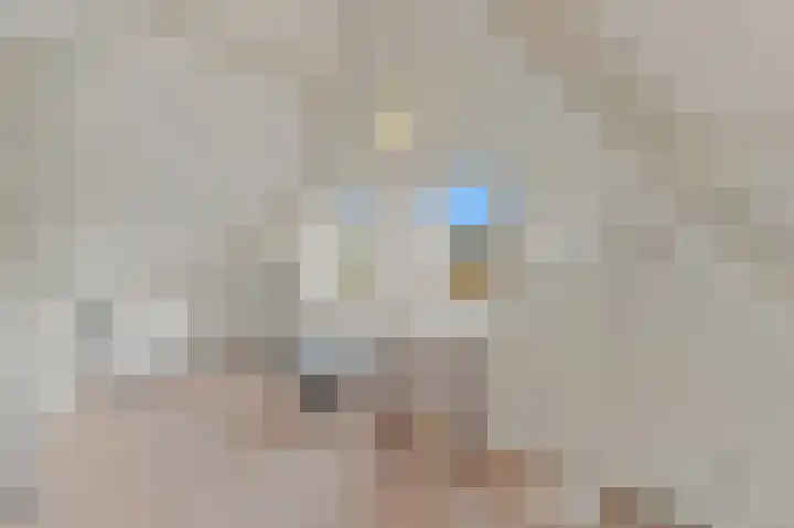 Commandeurskade 9 Maasland thumbnail 52