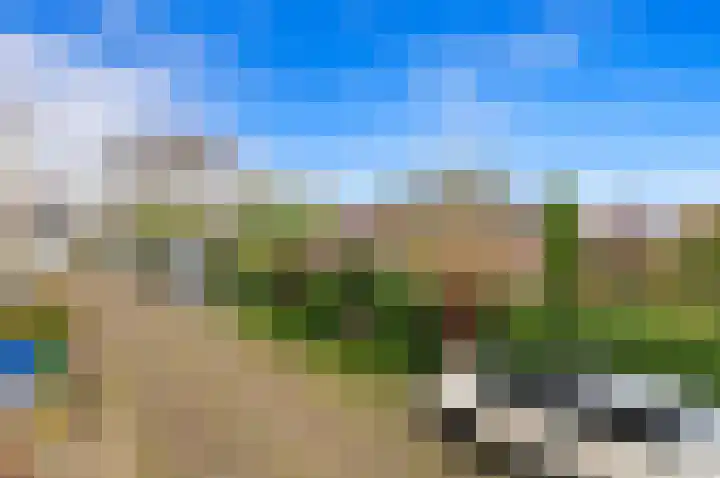 Commandeurskade 9 Maasland thumbnail 54