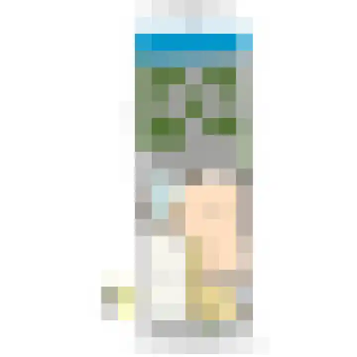 Commandeurskade 9 Maasland thumbnail 56