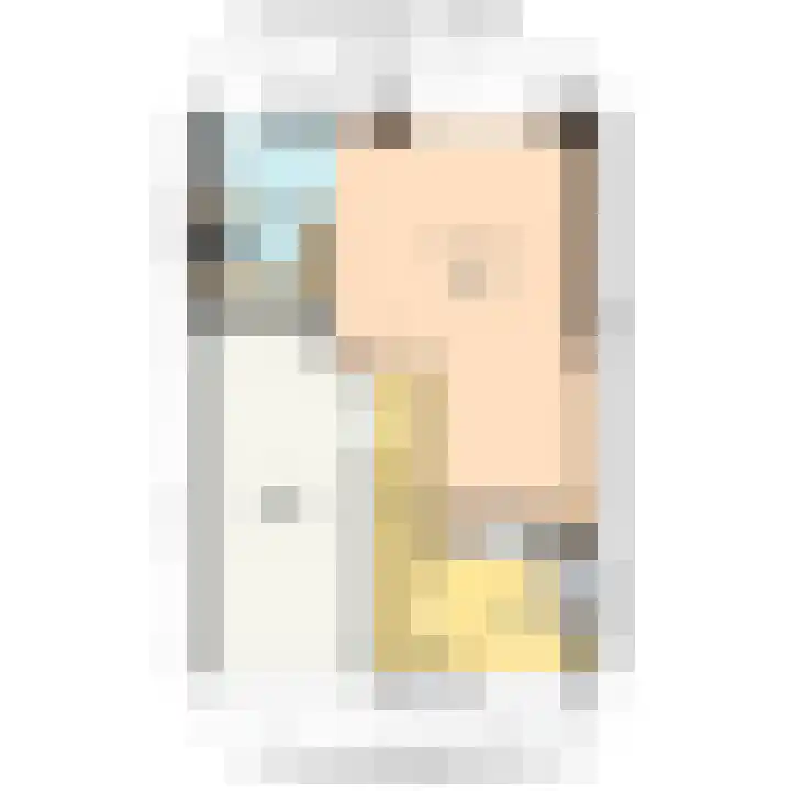 Commandeurskade 9 Maasland thumbnail 57