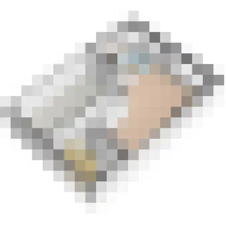 Commandeurskade 9 Maasland thumbnail 58