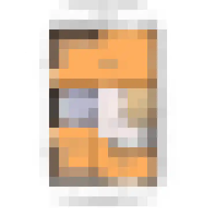 Commandeurskade 9 Maasland thumbnail 59
