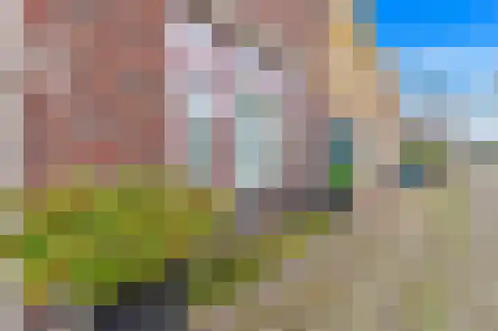 Commandeurskade 9 Maasland thumbnail 8
