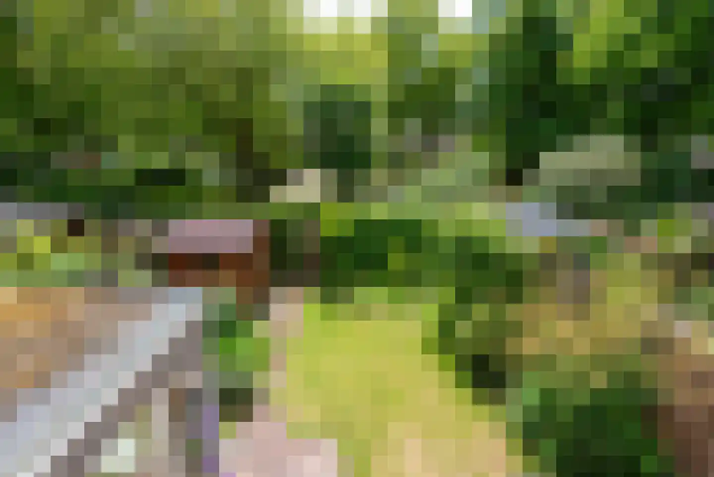 Commandeurslaan 13 Heiloo thumbnail 25
