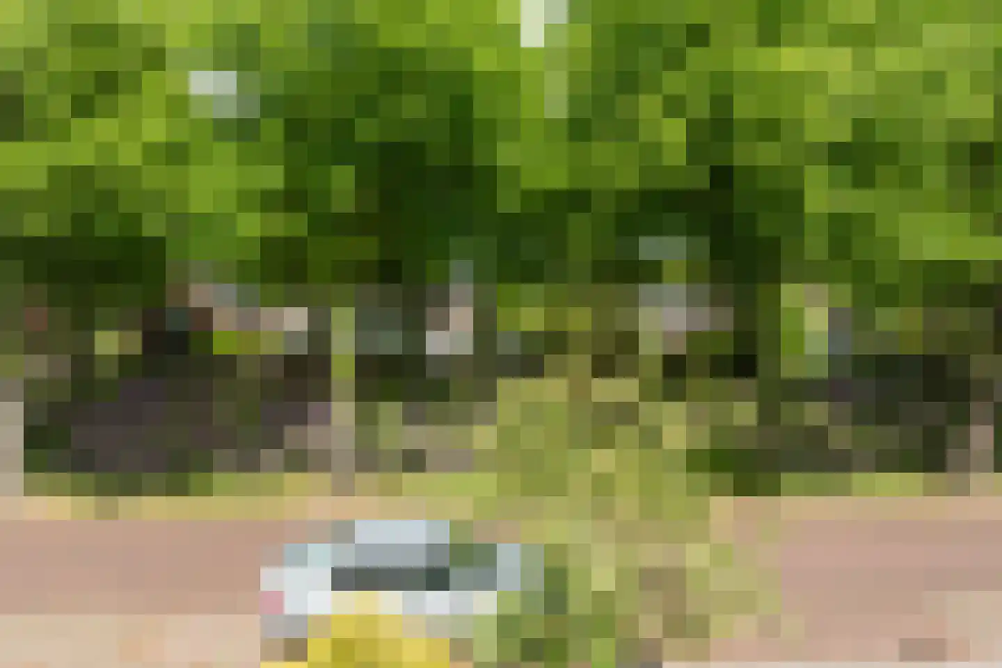 Commandeurslaan 13 Heiloo thumbnail 29