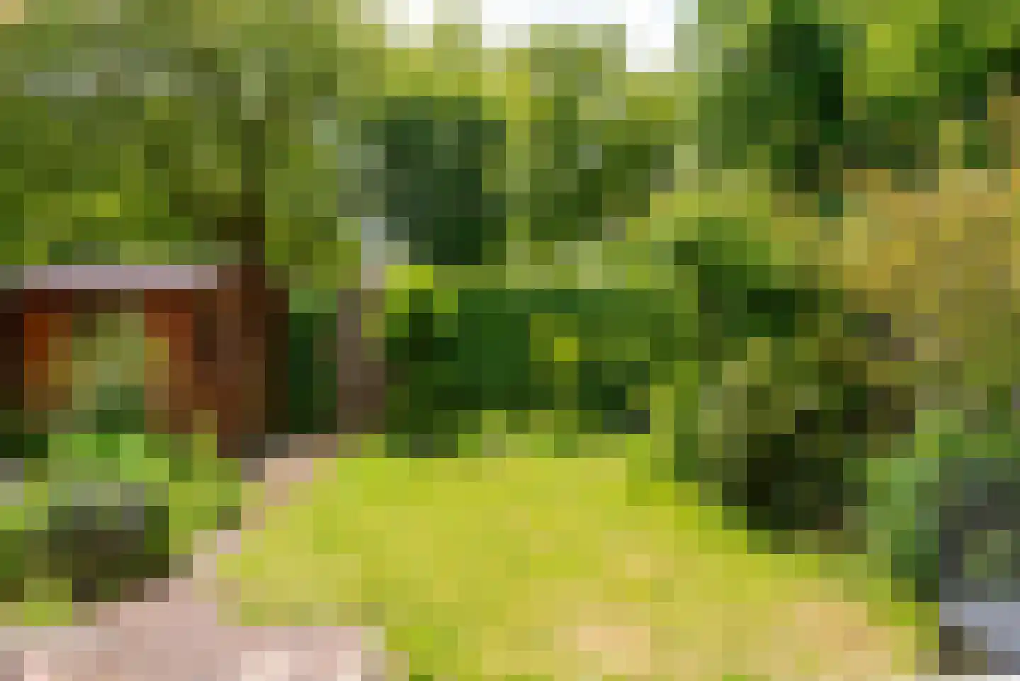 Commandeurslaan 13 Heiloo thumbnail 34
