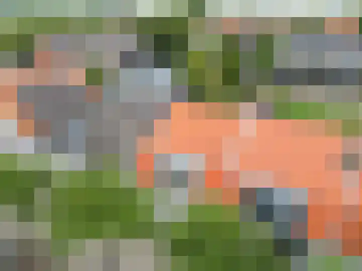 Commandeurslaan 15 Katwijk thumbnail 21