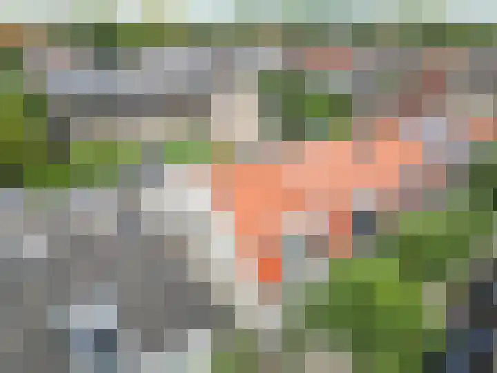 Commandeurslaan 15 Katwijk thumbnail 22
