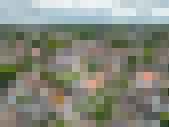 Commandeurslaan 15 Katwijk thumbnail 23
