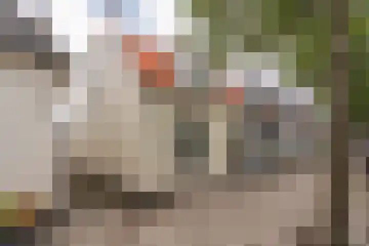 Commandeurslaan 15 Katwijk thumbnail 31
