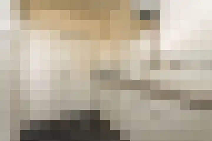Commandeurslaan 15 Katwijk thumbnail 6