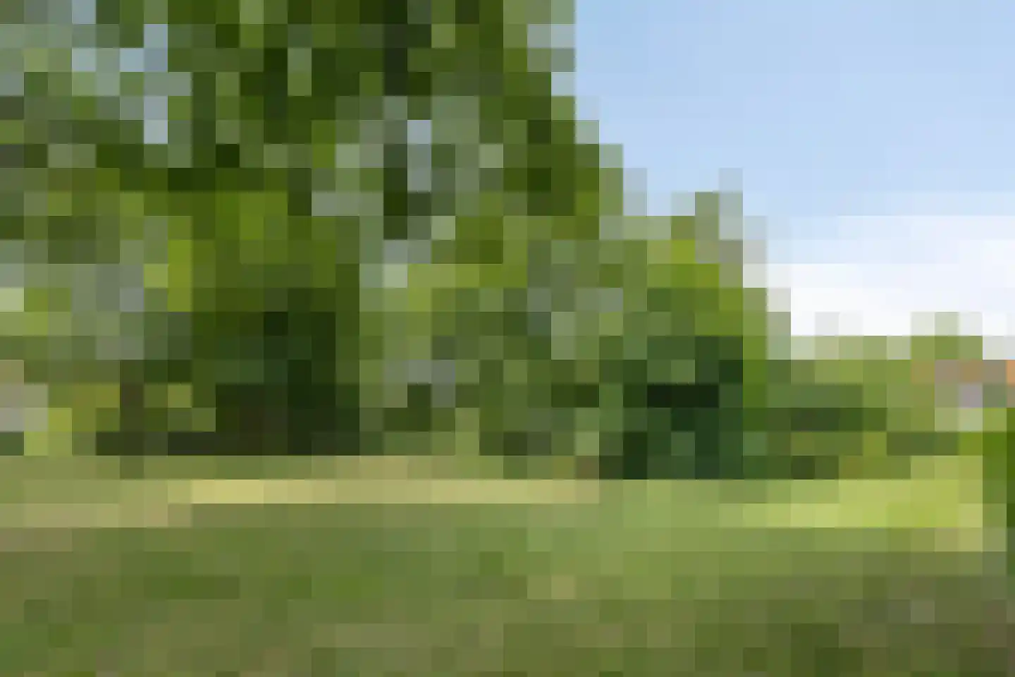 Commandeurslaan 3 b Heiloo thumbnail 28