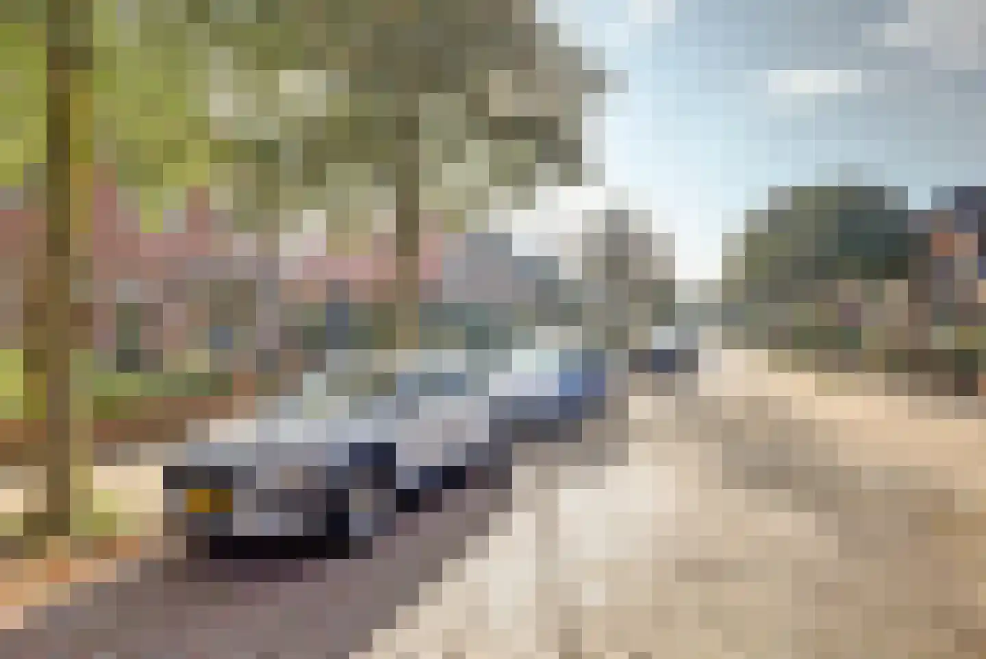 Commandeurslaan 35 Katwijk thumbnail 54