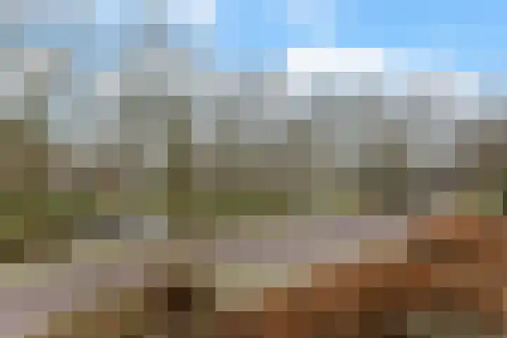 Commandeurslaan 87 Heemskerk thumbnail 21