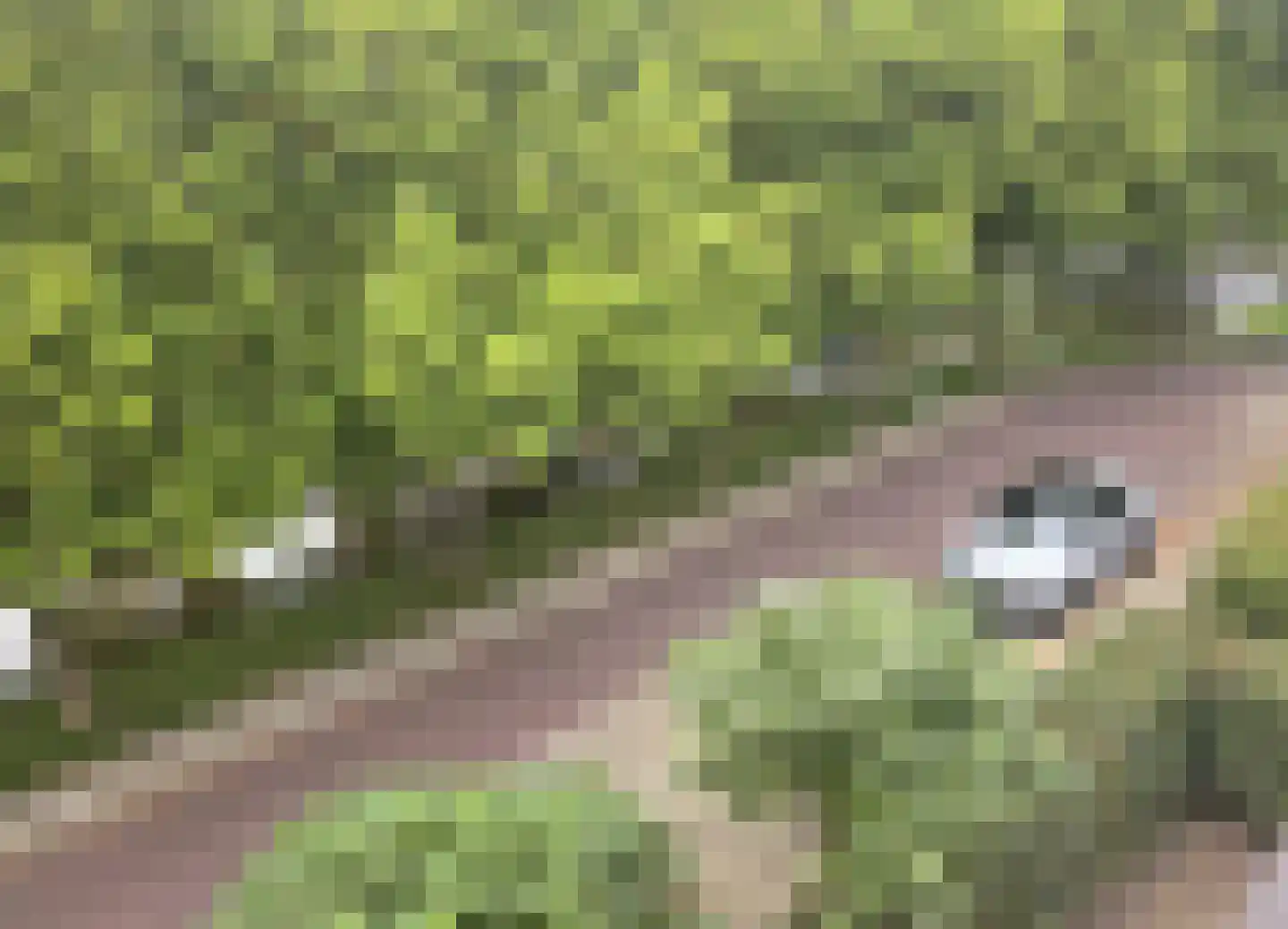 Commandeurslaan 87 Heemskerk thumbnail 22