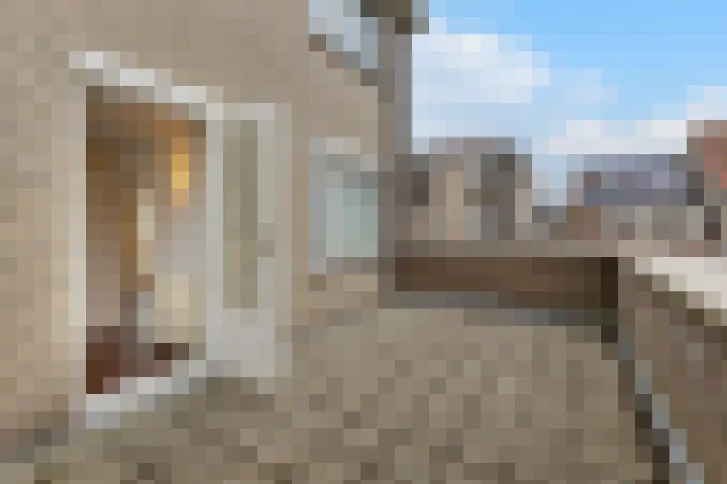 Commandeurslaan 87 Heemskerk thumbnail 26